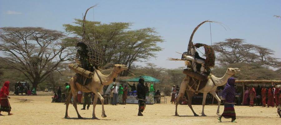 Camel Caravan